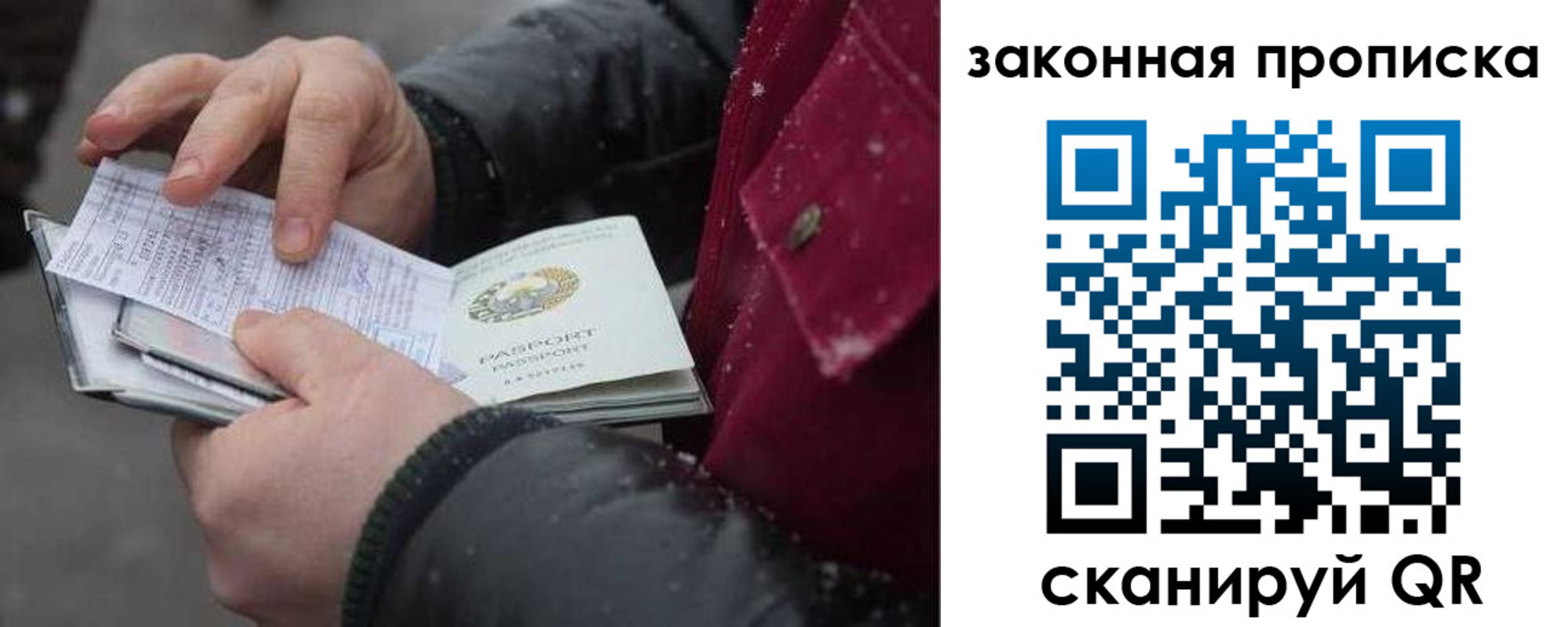 прописка поиск в Пионерском